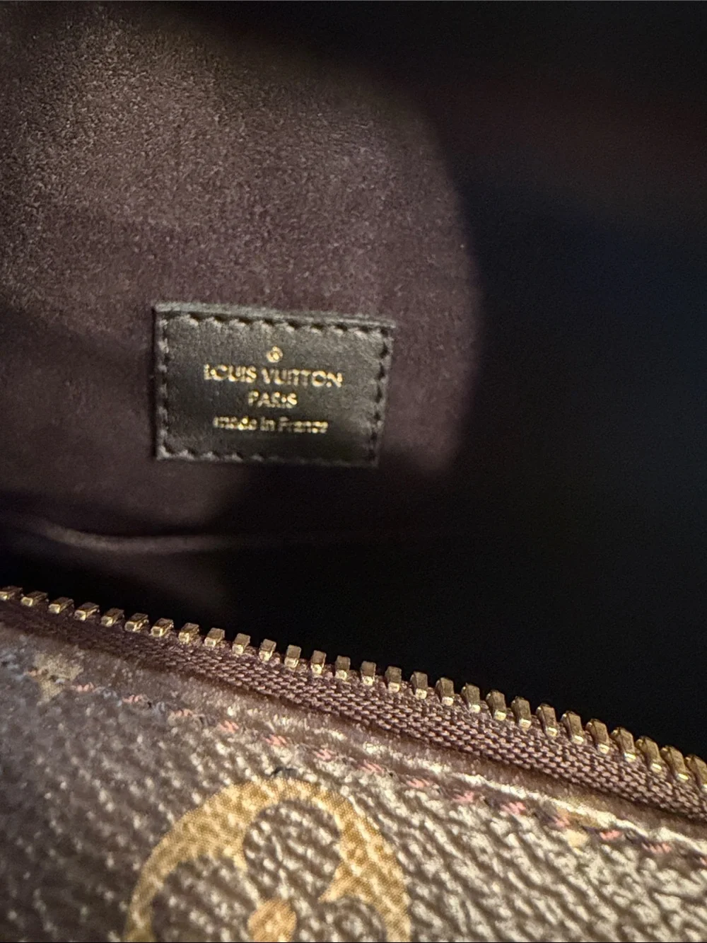 Louis Vuitton authentic louis